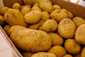 Kartoffeln als Beilage für die Wirsingrouladen in Tomatenrahm