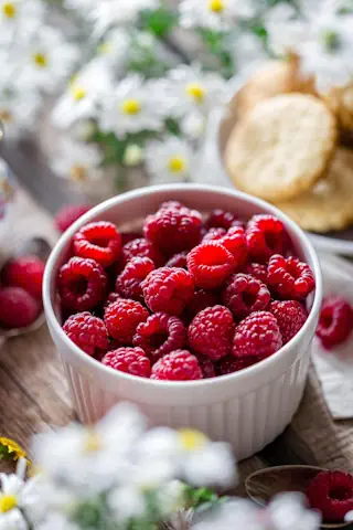 TM31 Rezept - Himbeer Träumchen Himbeeren