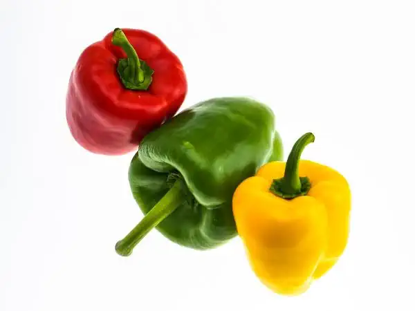 Eine der Zutaten für den Fleischwurst-Pastatopf für den TM - Paprika Eine der Zutaten für den Fleischwurst-Pastatopf für den TM - Paprika