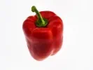 TM31 Rezept - Paprikaauftrich Paprika