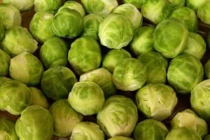 Rosenkohl für die Zubereitung des Rosenkohleintopfs mit dem TM5 Rosenkohl für die Zubereitung des Rosenkohleintopfs mit dem TM5
